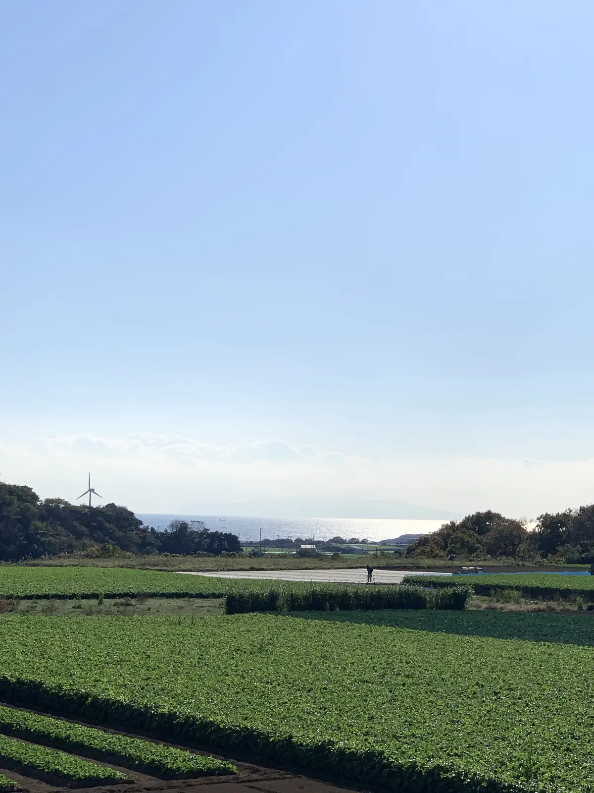 神奈川県三崎　三崎エリア