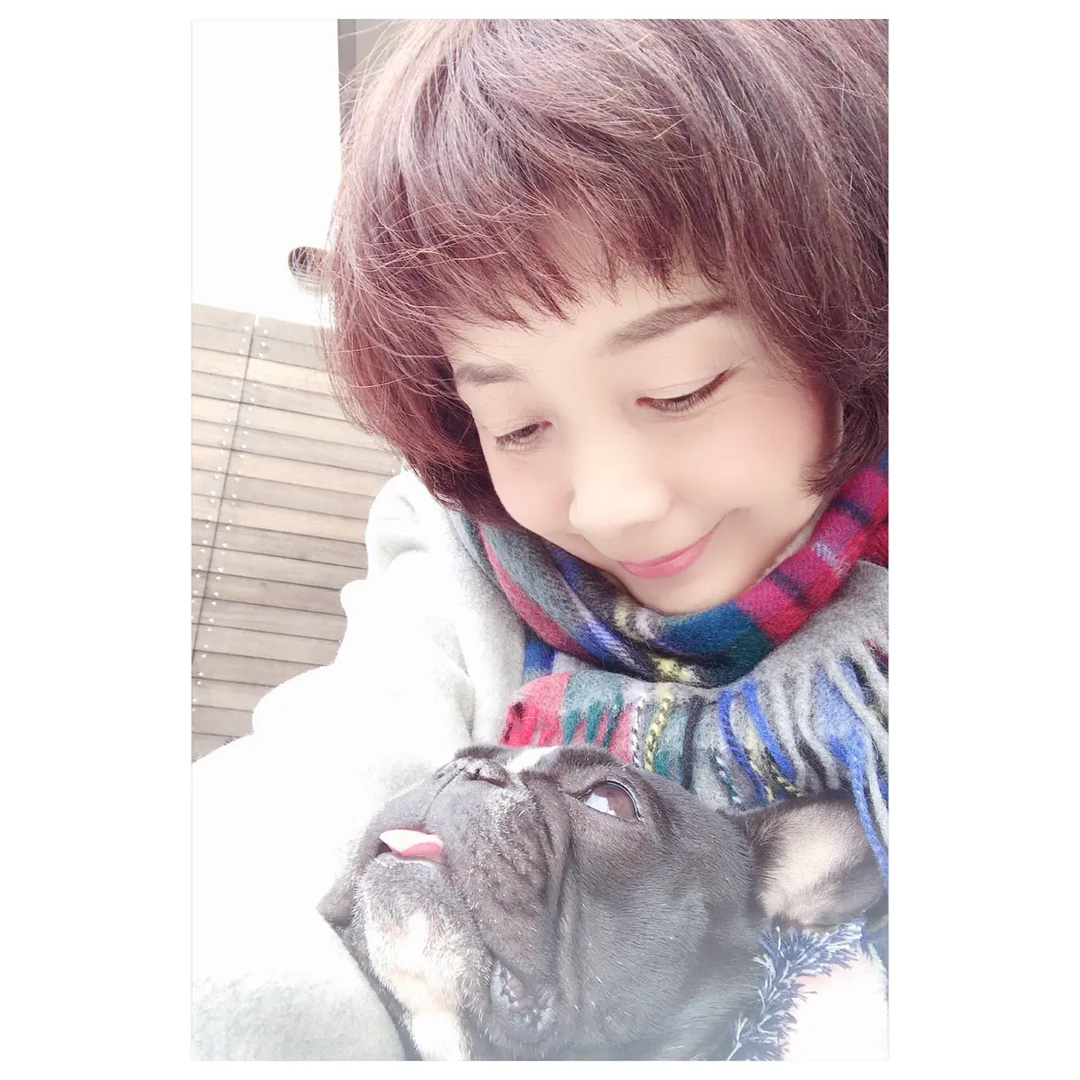 ふたたびの画像_1