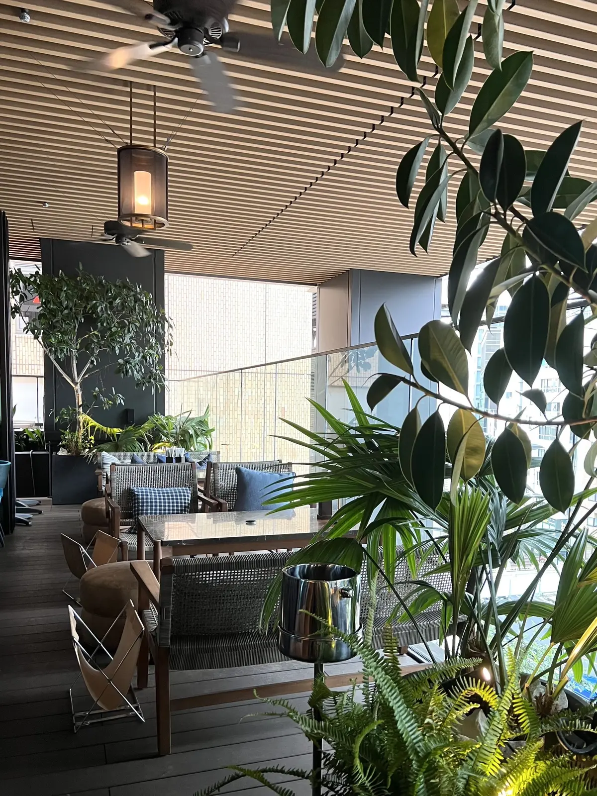 外苑前にあるカフェレストラン「THE BELCOMO」店内写真