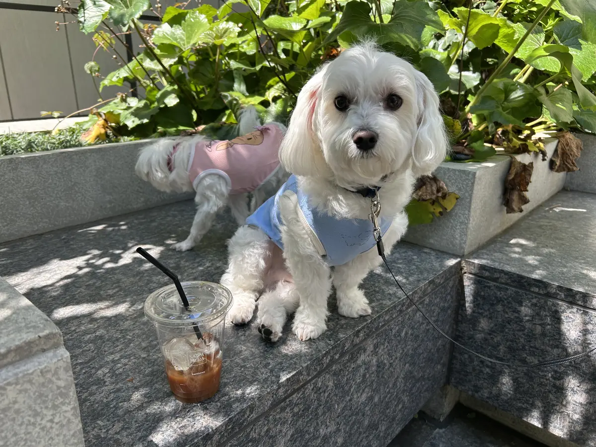 広尾SAWAMURAでモーニングの画像_5