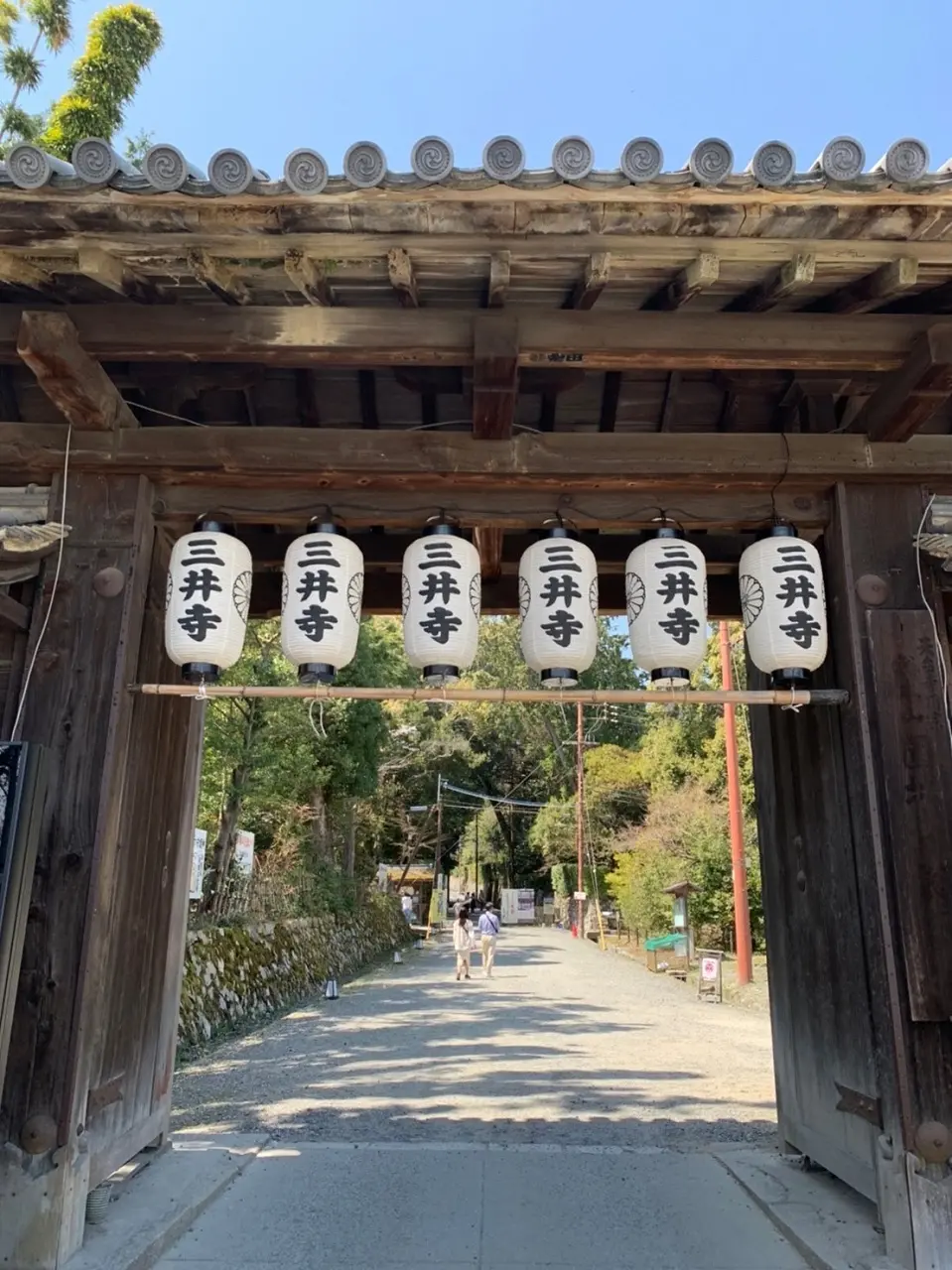 琵琶湖大津へお花見ドライブの画像_2