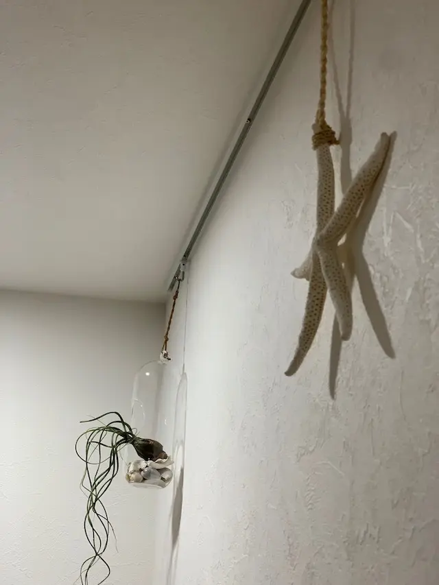 インドアグリーン　グリーン　グリーンインテリア