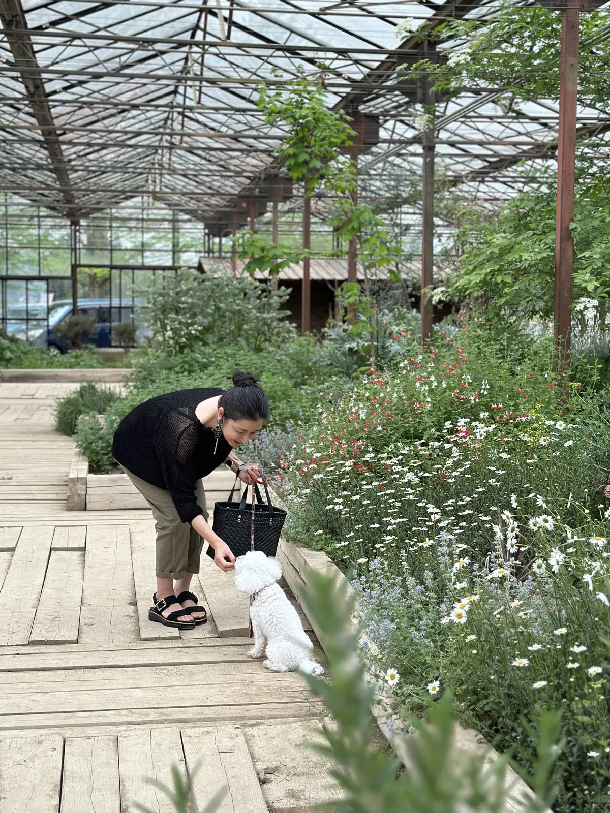 ハーブガーデンで過ごす癒しの時間♡千葉にの画像_38