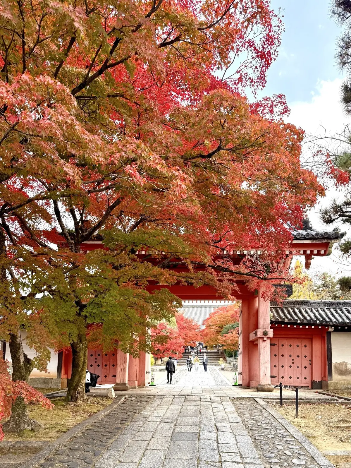 【大人の京都】寺院仏閣とお気に入りの秋のの画像_46