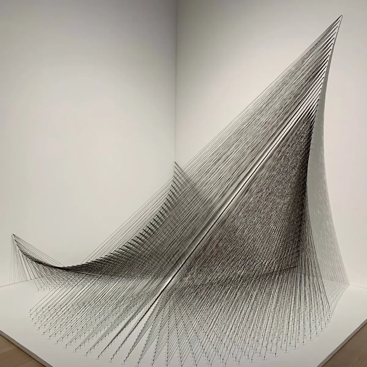 宮本和子「黒い芥子」