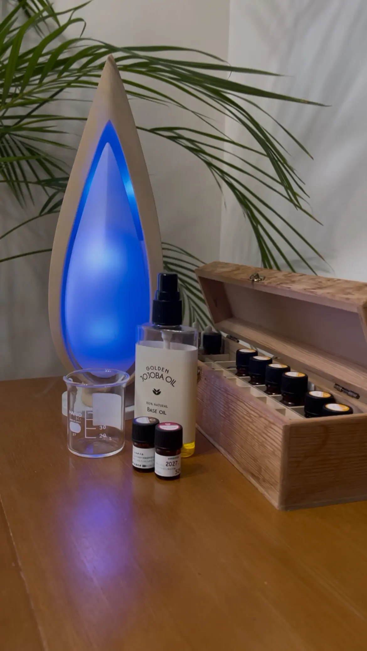 チームJマダム akari