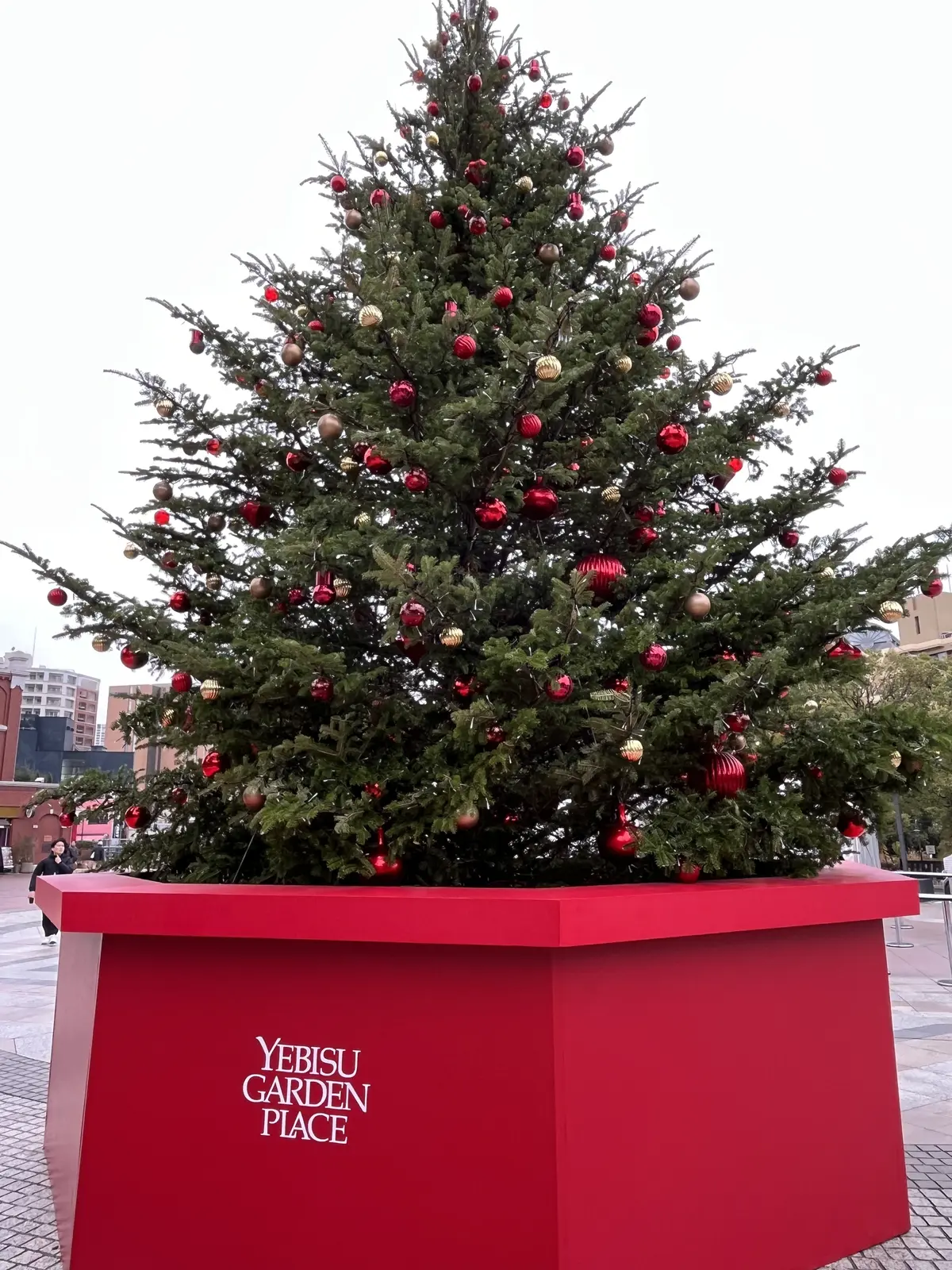 クリスマスまでのいろいろ♫の画像_6