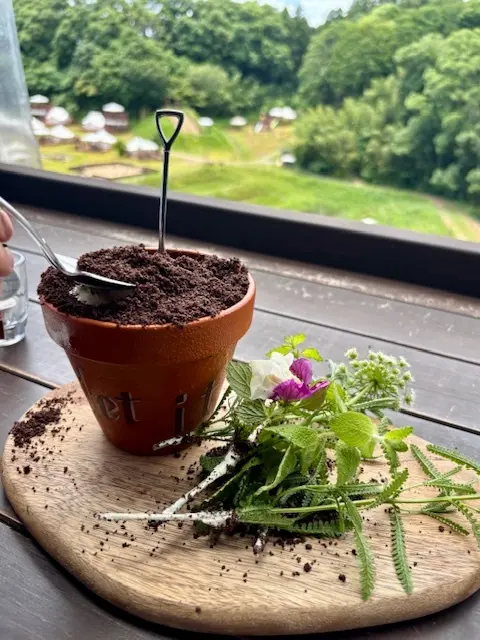 広大な農園のカフェで美味しい鉢植え（パフの画像_5