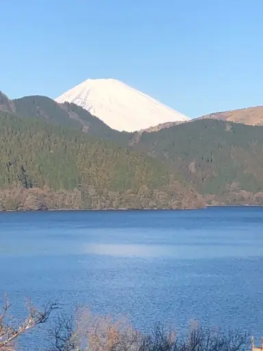 新しい年に向けての画像_1