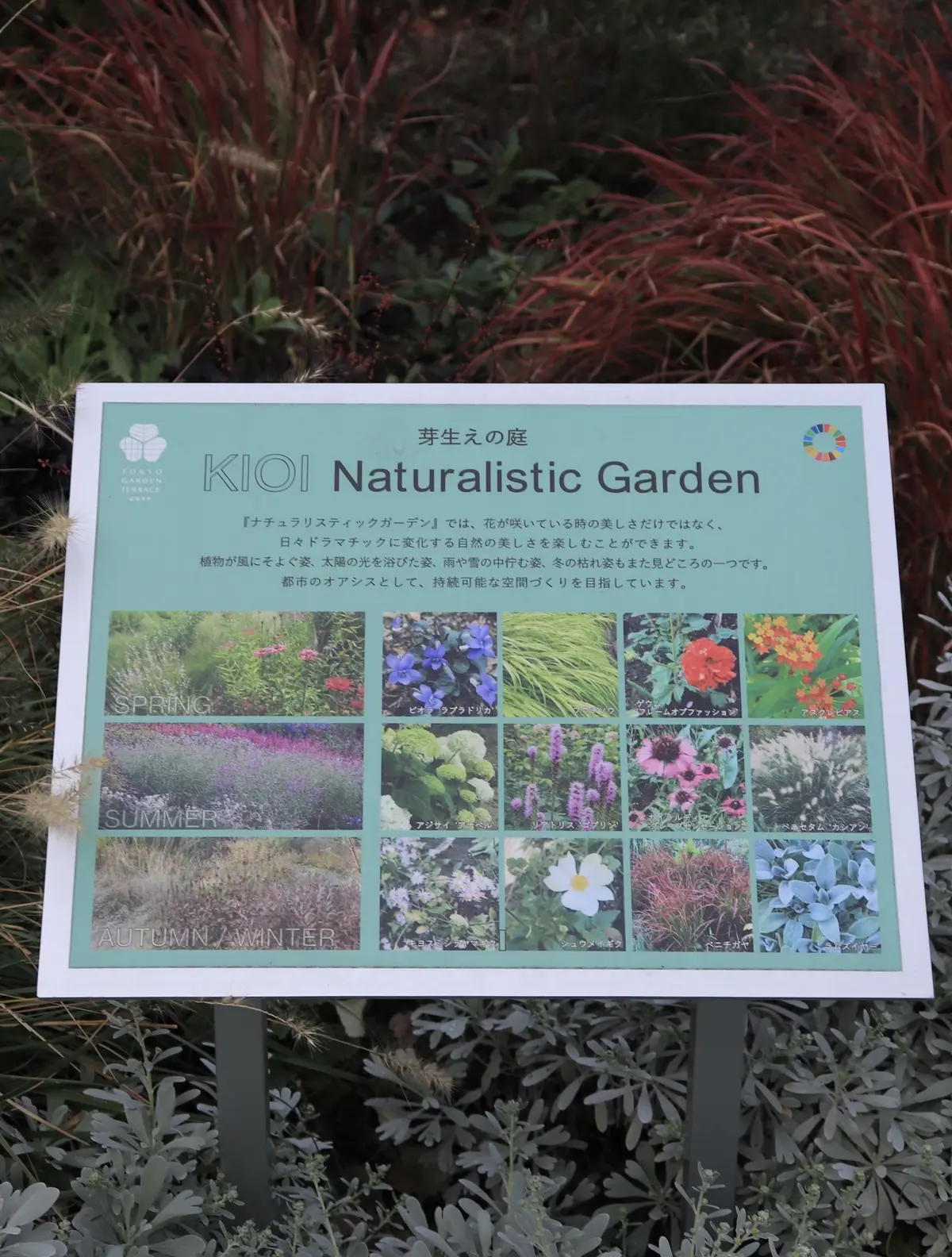 東京ガーデンテラス紀尾井町　紀尾井町レジデンス　紀尾井ナチュラリスティックガーデン