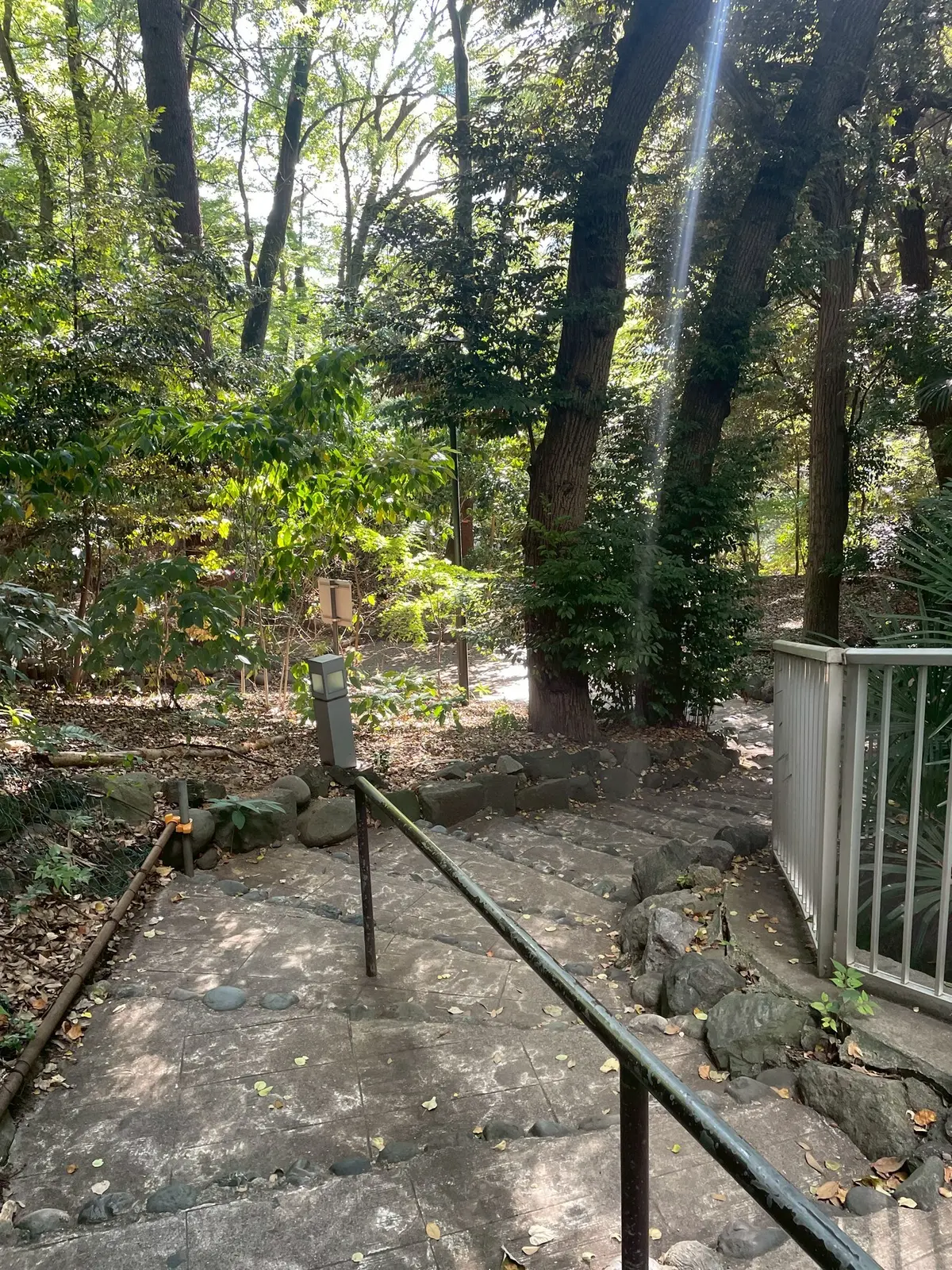 紀尾井町ビル裏手の清水谷公園の階段