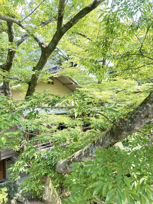 奥多摩プチトリップの画像_7