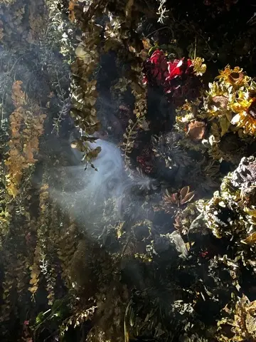 芸術鑑賞Dayで癒されるの画像_7