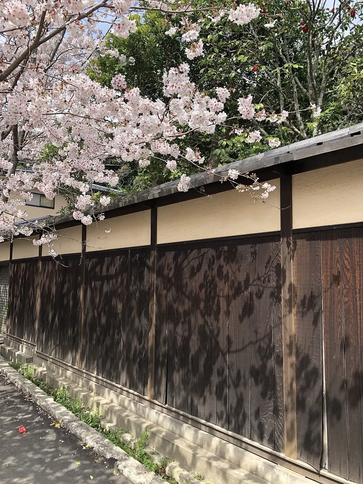4月8日は「花まつり」の画像_5