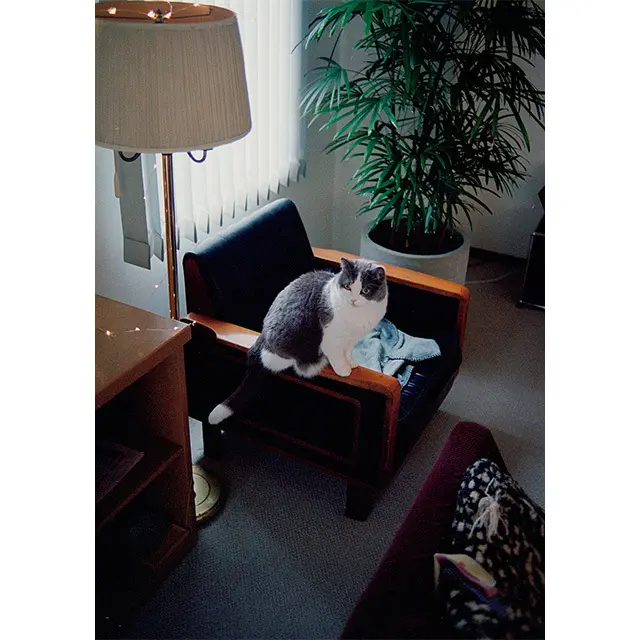 お気に入りの場所はこの窓 ぎわの椅子