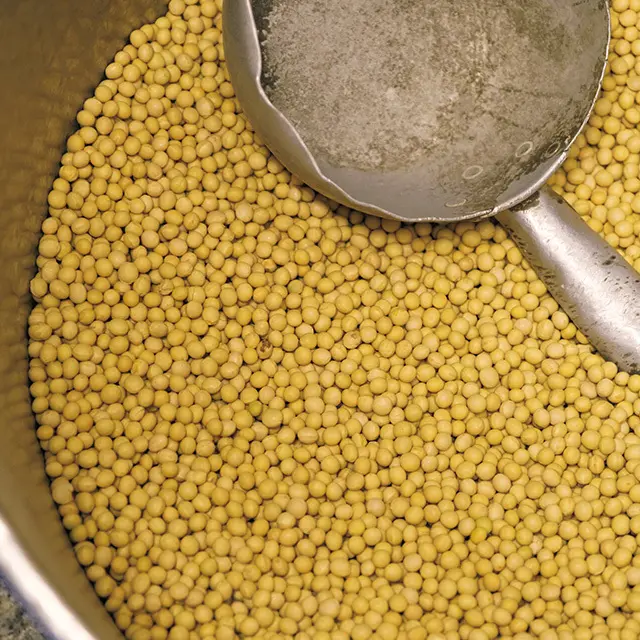 店主が惚れ込んだ中国産有機大白眉や甘味の強い国産の大鶴など