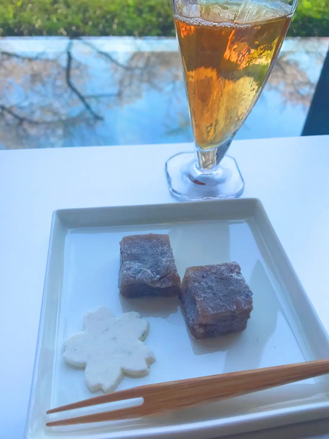 観桜会の画像_2