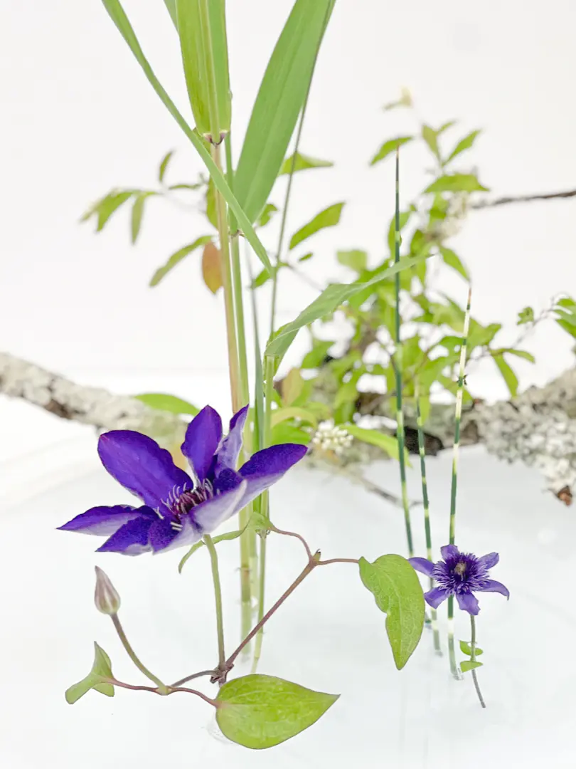 【池坊いけばな展】伝統文化の継承に感動🫠の画像_4