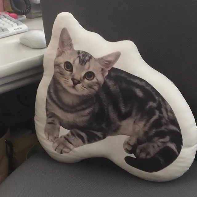 アランがぬいぐるみに！？（蔵出しアラン）の画像_2