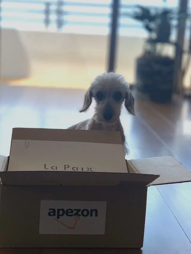 コロナフードアクション　宅配　ミシュランフレンチ　ラペBOX