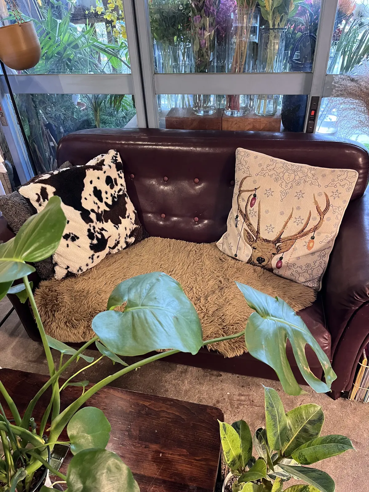 今年は早めのクリスマスリース作りの画像_5