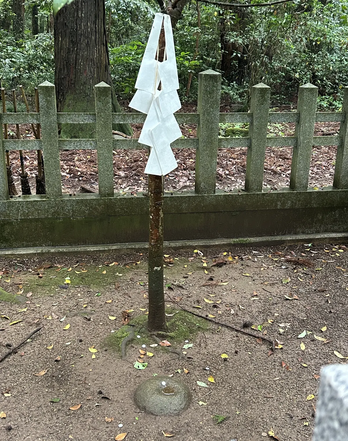 50代からの新しい旅　東京から日帰りで名の画像_5