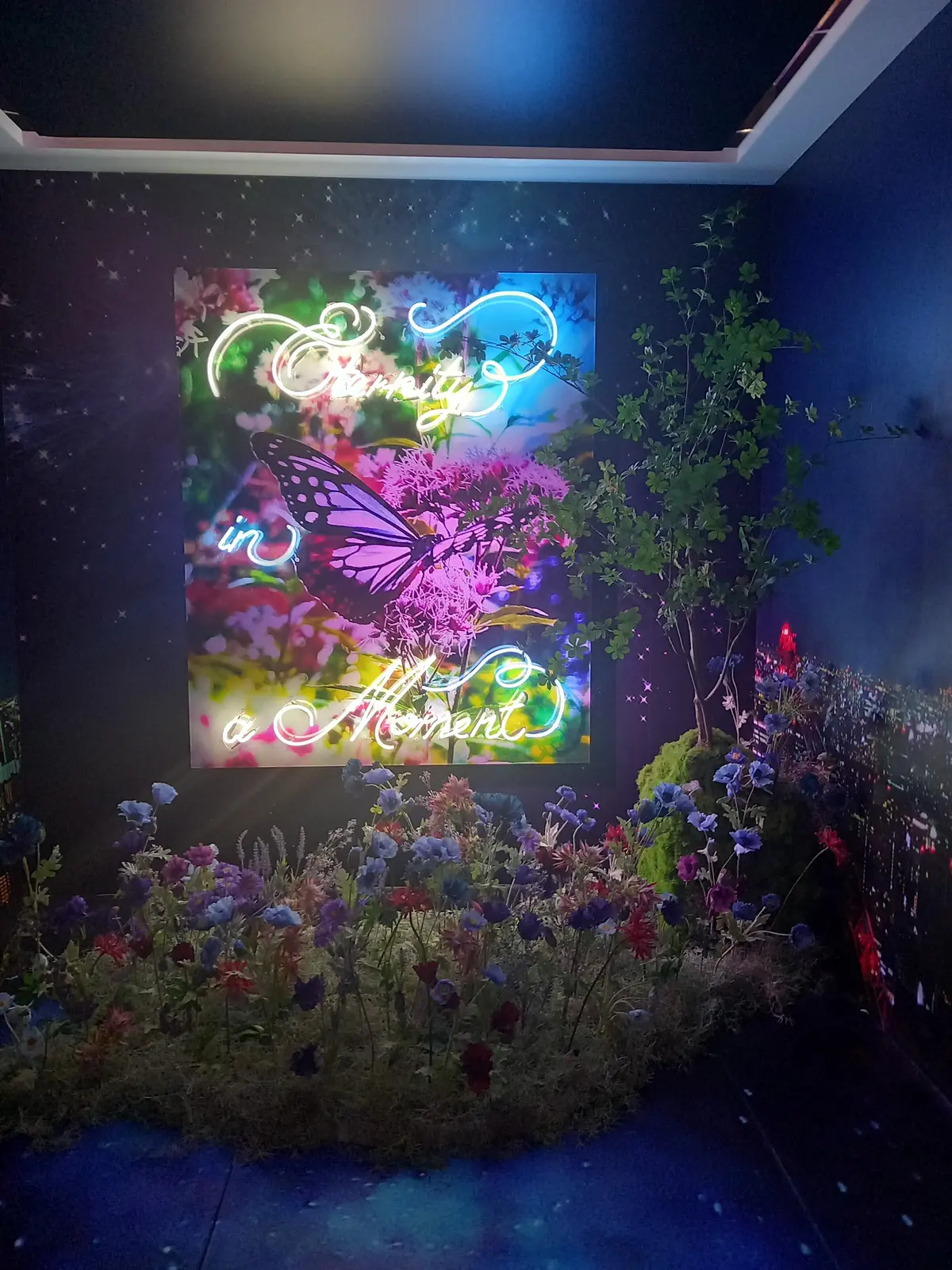 異空間体験⭐︎蜷川実花展に行きました⭐︎の画像_6