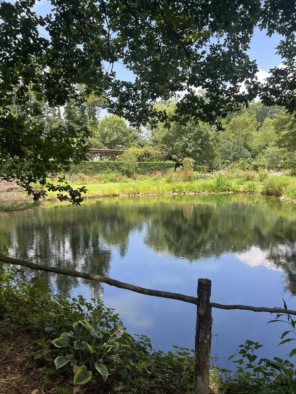 池もあって雰囲気最高です！