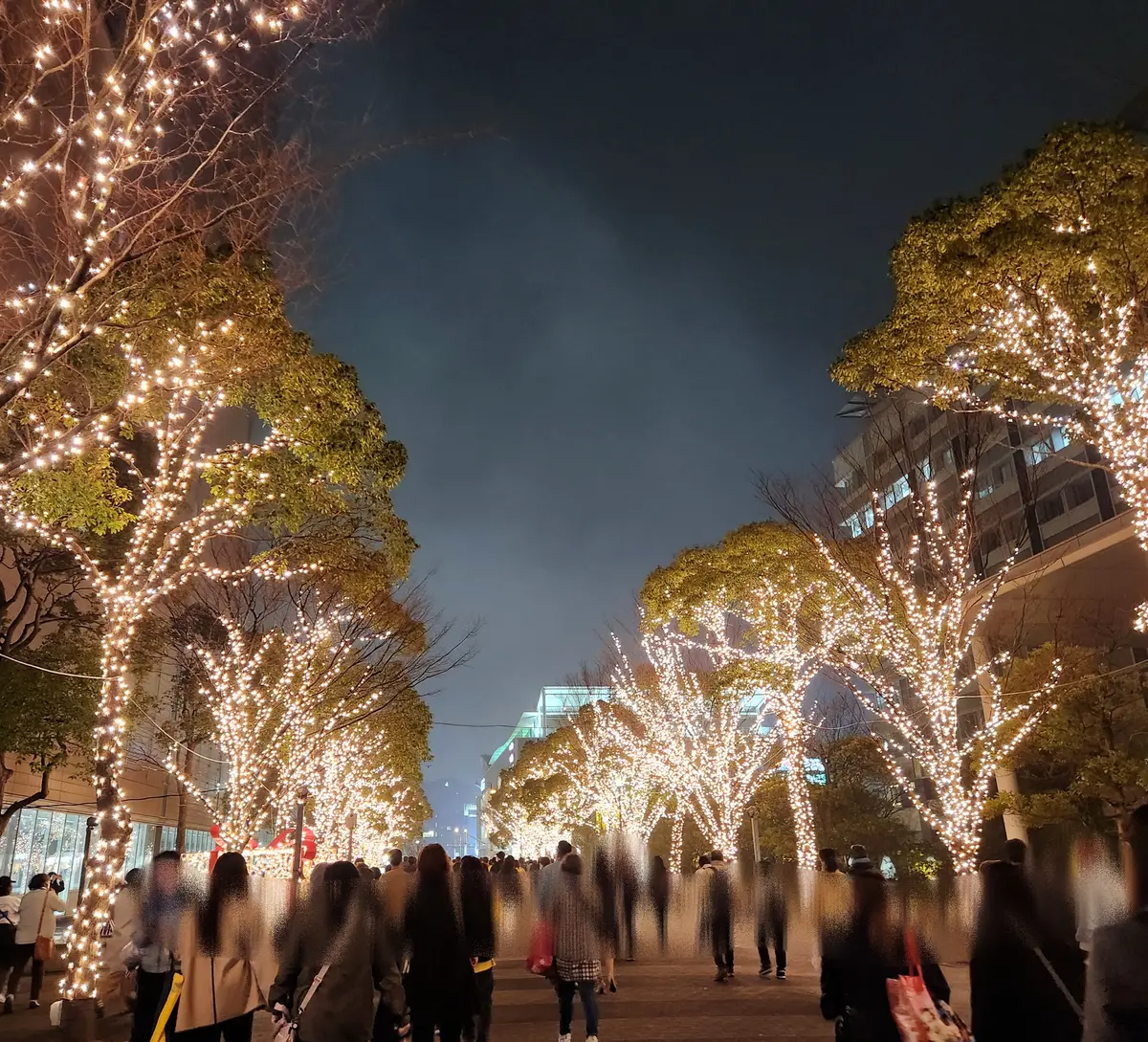 サザンを追いかけ香川まで！の画像_13