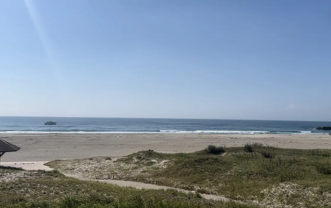 58歳にして久しぶりのサーフィンは・・・の画像_5