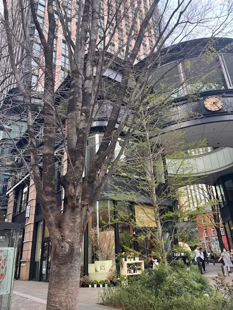 丸の内美味しくて！そしてお得だったランチの画像_1