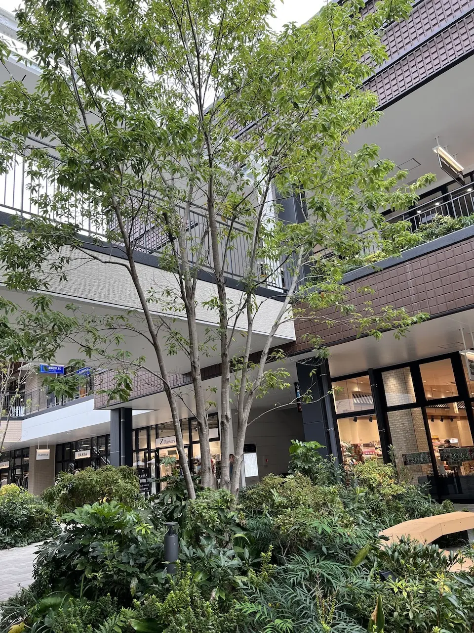 チョコ好きにはたまらないGODIVAカフの画像_1