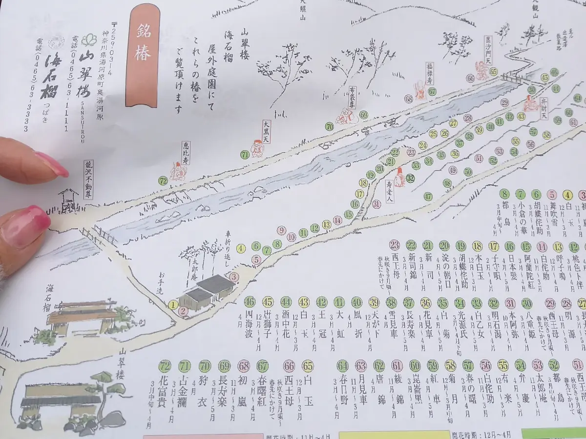 奥湯河原に佇む「泊まれる料亭」で最高の眺の画像_13