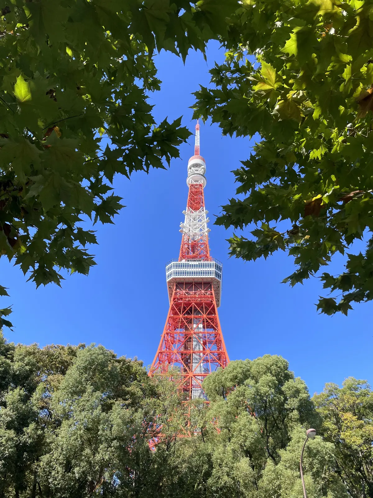 人生で一度はやってみたかったことに挑戦！の画像_3