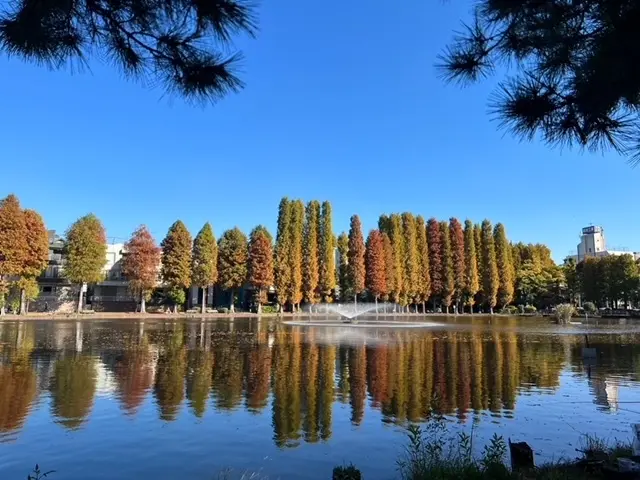別所沼公園へ～ランチ＆お散歩♪の画像_3