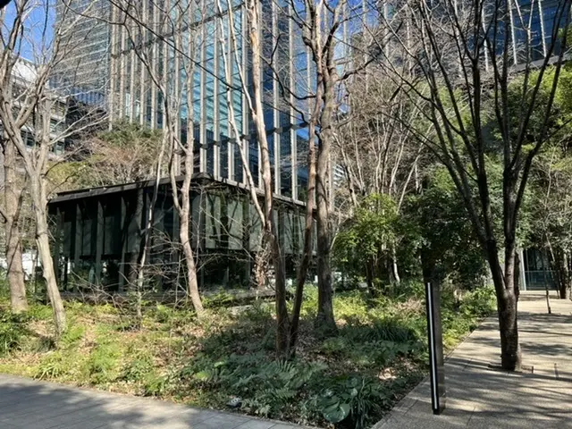 プチプラ☆大人のオールインワン☆ザ・カフの画像_1