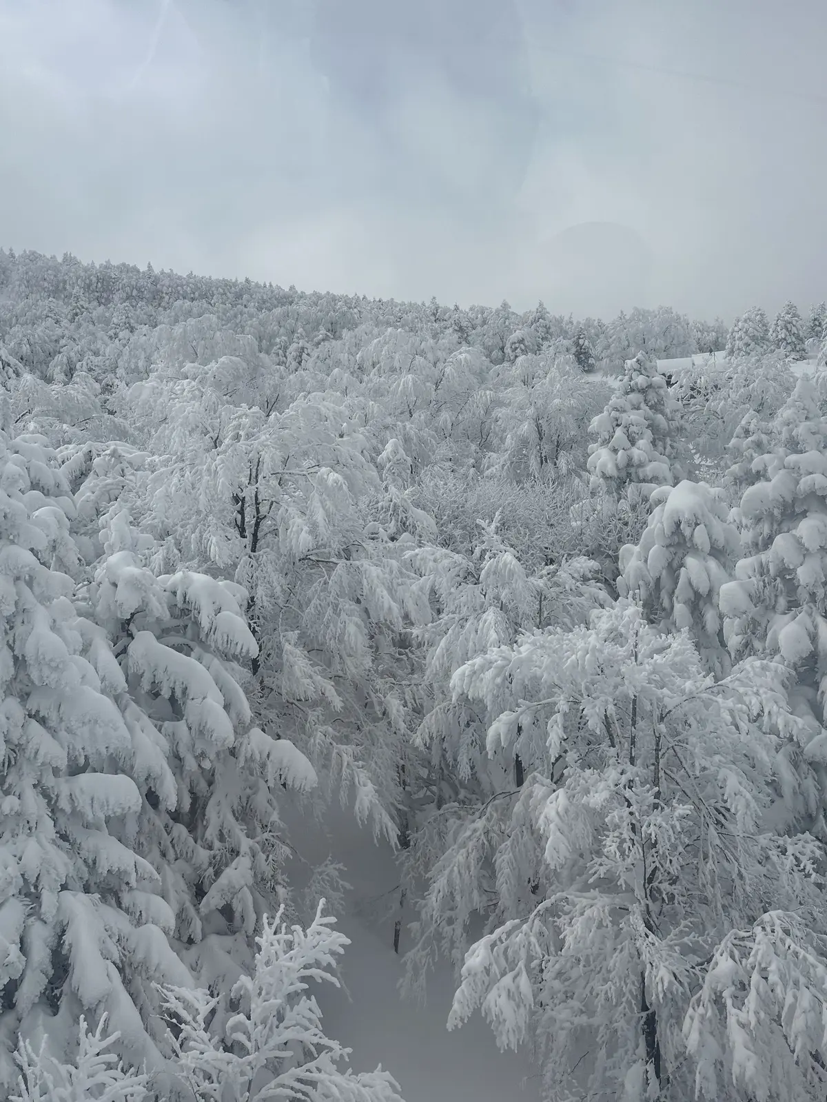 樹氷と美肌の湯を楽しむ♡山形県蔵王への旅の画像_6