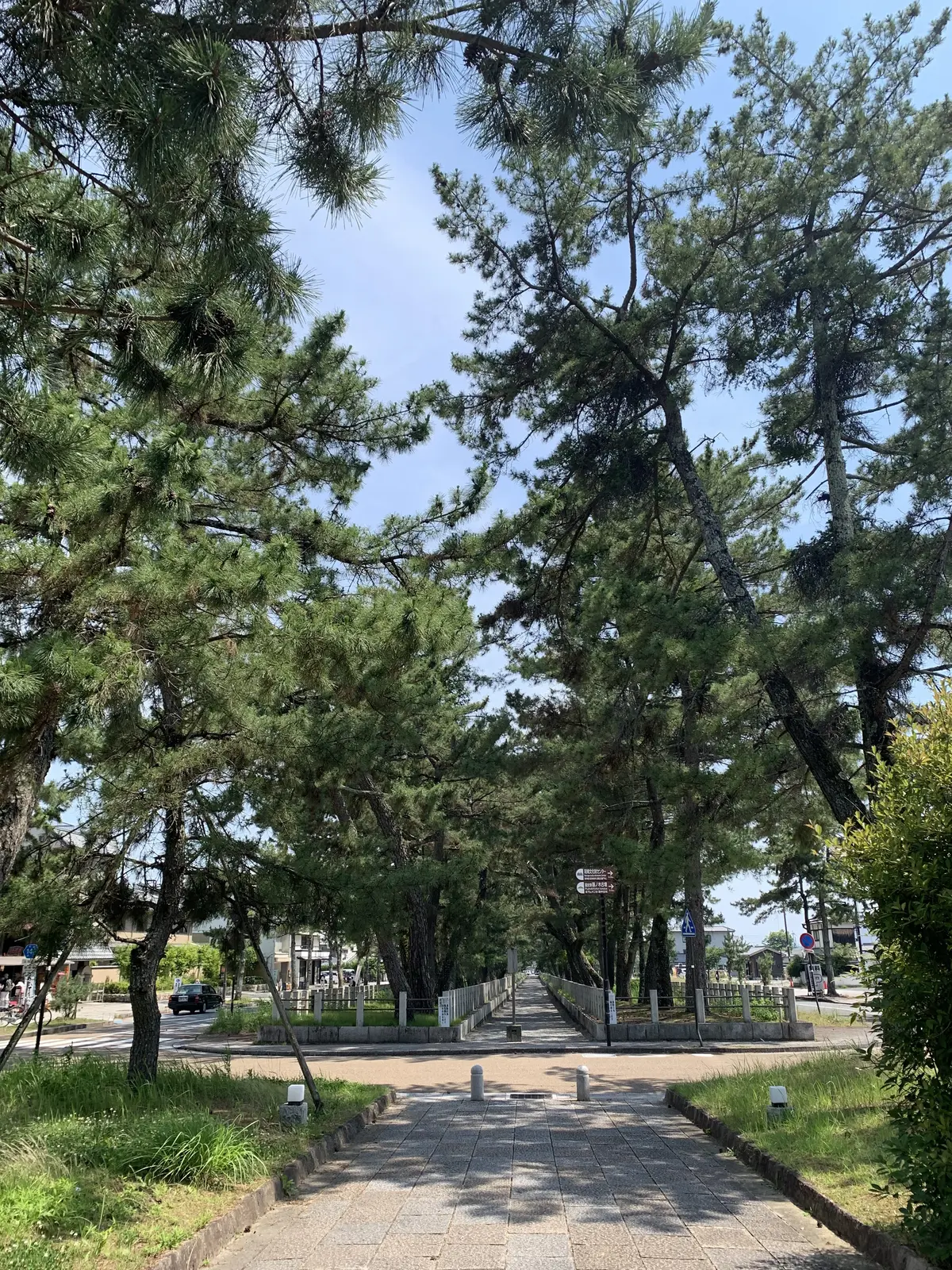 法隆寺の南大門に続く参道