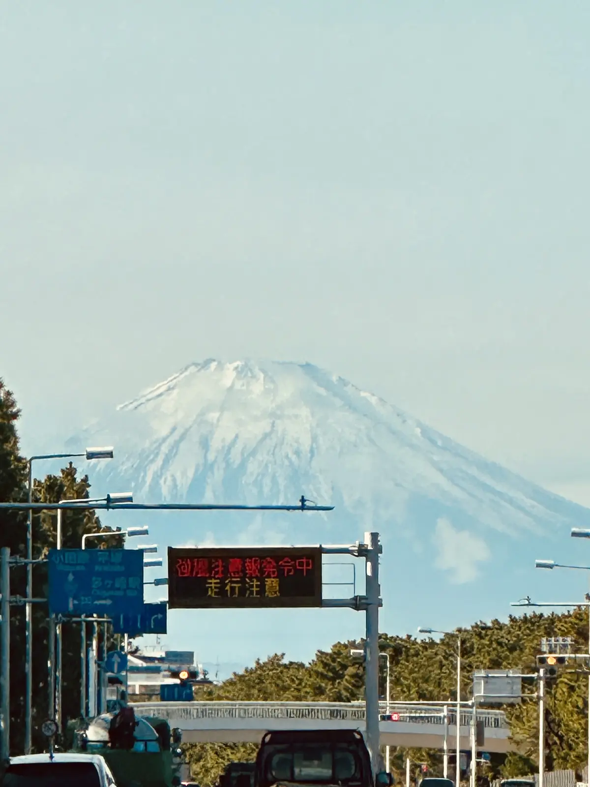 「茅ヶ崎で海の幸」と「鎌倉山のスイーツ」の画像_1