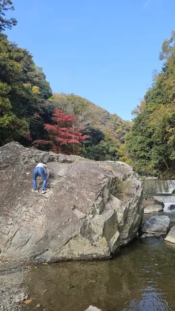 UNIQLO感謝祭戦利品とお気に入りスニの画像_5