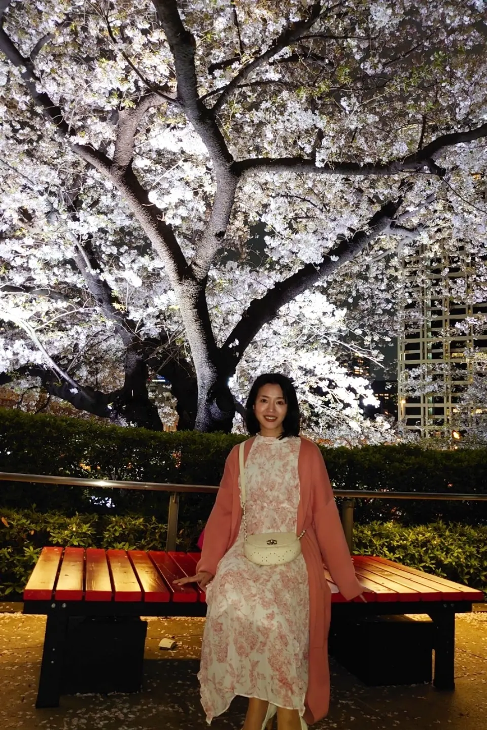 美味しい食事と散りゆく桜と　〜VMGカフの画像_29