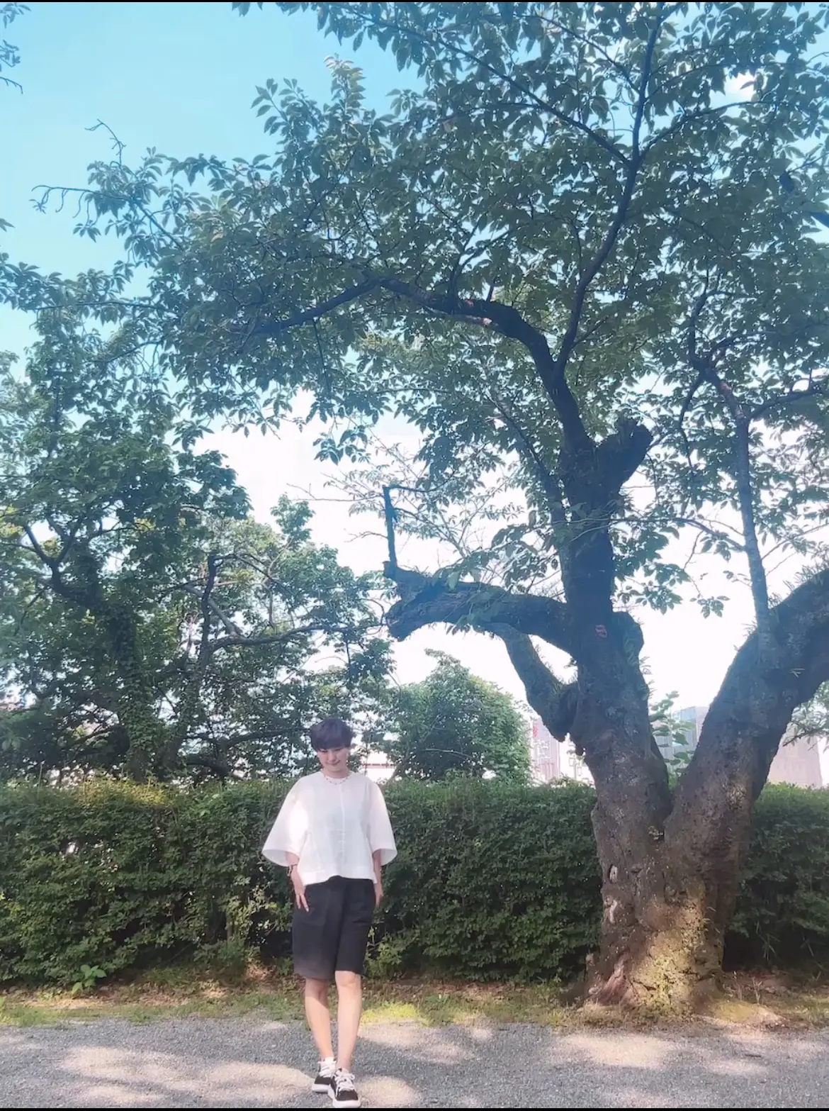 【夏のショートヘアー】襟足スッキリで涼しの画像_5