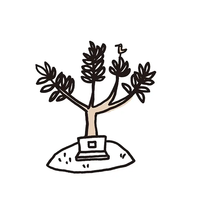 樹木を墓標としたリーズナブルなお墓