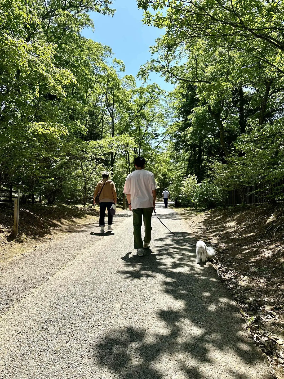 気軽におしゃれが楽しめるUNIQLOワンの画像_5