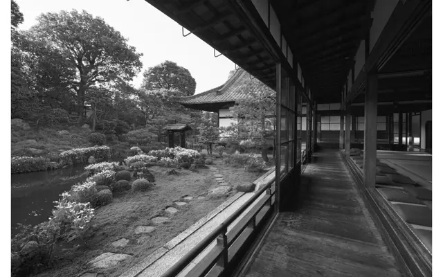 「イライラの瞬間に“美”をイメージする訓練を。です」