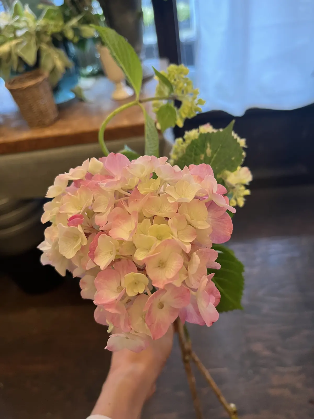 初めて選んだお花でブーケの画像_6