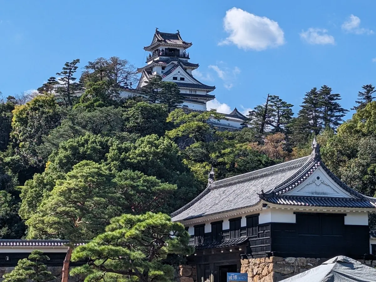 高知やき！ 盛り沢山な大人女子旅になったの画像_1