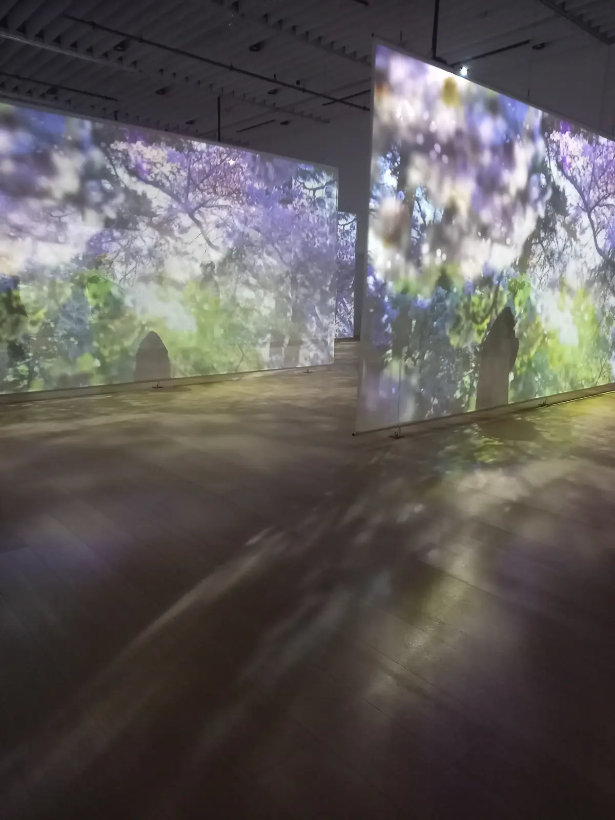 異空間体験⭐︎蜷川実花展に行きました⭐︎の画像_7