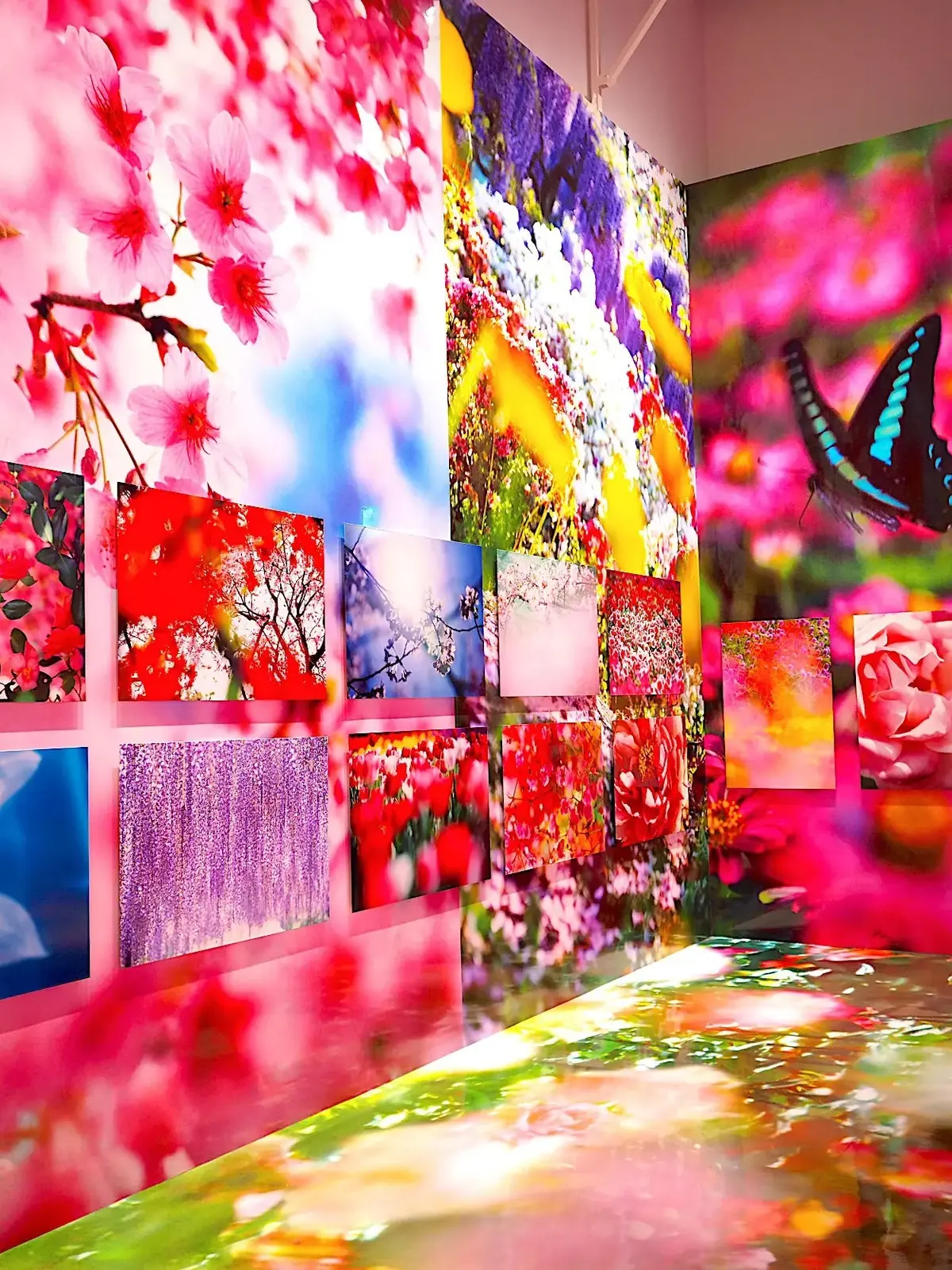 自然の光、花や蝶の鮮やかな極色彩と装飾。