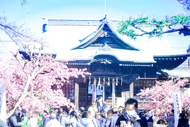 【さかぽんの冒険】桜の都物語①渋谷区♡桜の画像_10